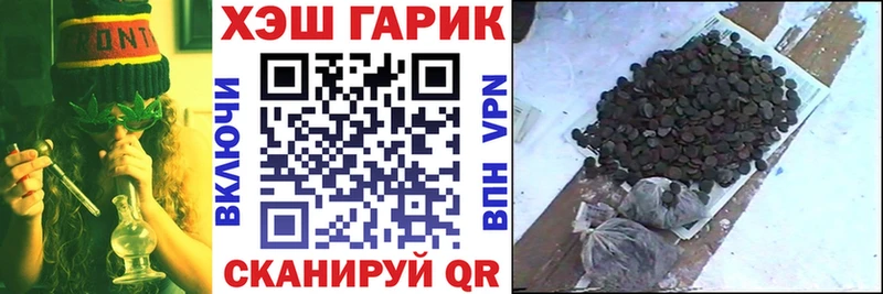ГАШ Изолятор Никольск